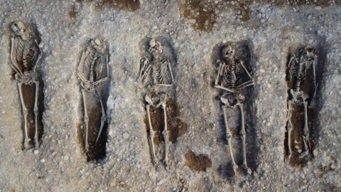 Restes òssies d'un soldat a l'exterior del cementiri de Bellaguarda Restes òssies d'un soldat a l'exterior del cementiri de Bellaguarda