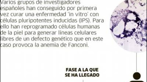 548cb30fbe9ac.jpg 548cb30fbe9ac.jpg