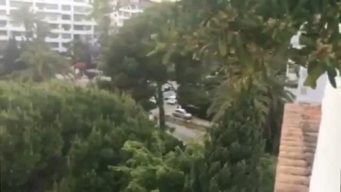 Dos británicos borrachos siembran el pánico en Marbella Dos británicos borrachos siembran el pánico en Marbella