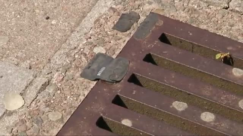 Cardiff va tomando ambiente de Champions Cardiff va tomando ambiente de Champions