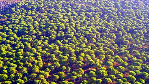 548d480793cb2.jpg 548d480793cb2.jpg