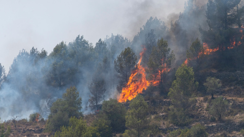 62d67f94e7f1d.jpeg 62d67f94e7f1d.jpeg