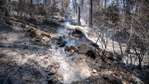 62d680ec9a30e.jpeg 62d680ec9a30e.jpeg