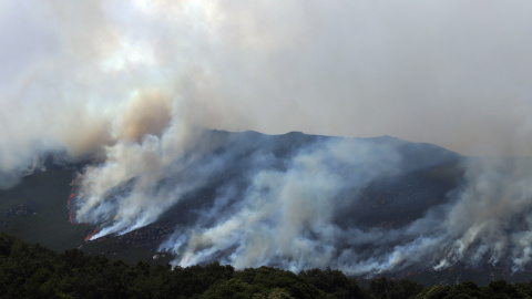 62d6848b801d8.jpeg 62d6848b801d8.jpeg