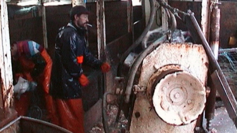 Marineros gallegos trabajando en el Gran Sol en el año 2000. Marineros gallegos trabajando en el Gran Sol en el año 2000.