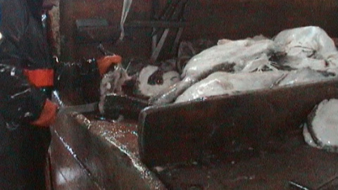 30/1/23 Marineros gallegos trabajando en el Gran Sol en el año 2000. 30/1/23 Marineros gallegos trabajando en el Gran Sol en el año 2000.