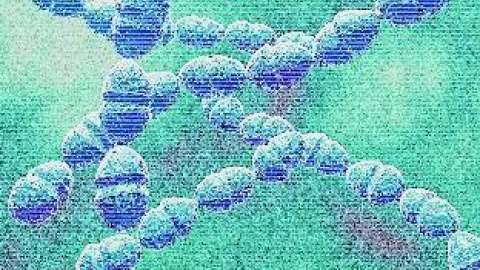 548cb8a7dc108.jpg 548cb8a7dc108.jpg