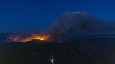 641f195cd2878.jpeg 641f195cd2878.jpeg