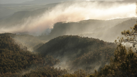 641f1c7dd70ba.jpeg 641f1c7dd70ba.jpeg