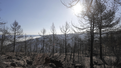 641f21d7178f2.jpeg 641f21d7178f2.jpeg