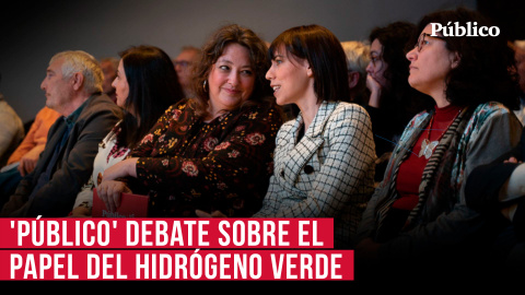 Virginia Pérez Alonso presenta el acto de 'Público' sobre el futuro del hidrógeno verde Virginia Pérez Alonso presenta el acto de 'Público' sobre el futuro del hidrógeno verde