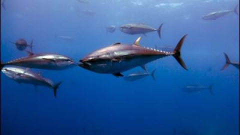 548cb93718ebb.jpg 548cb93718ebb.jpg