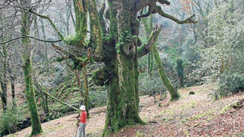 548cba0400eca.jpg 548cba0400eca.jpg