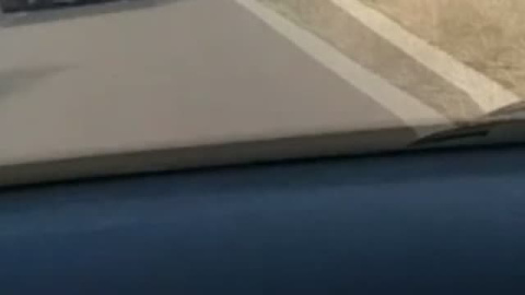 La vaca Rebeca continúa huida La vaca Rebeca continúa huida