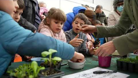Mercat del Ram a Vic&nbsp;