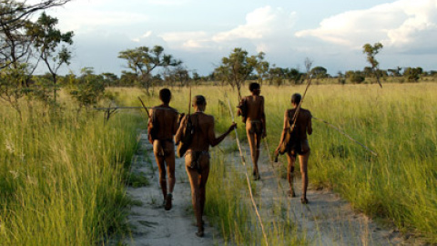 548d4baccec58.jpg 548d4baccec58.jpg