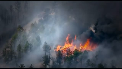 Estreno de la segunda parte de "Una verdad incómoda" Estreno de la segunda parte de "Una verdad incómoda"