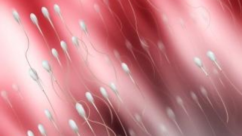 54a159ab2dcad.jpg 54a159ab2dcad.jpg