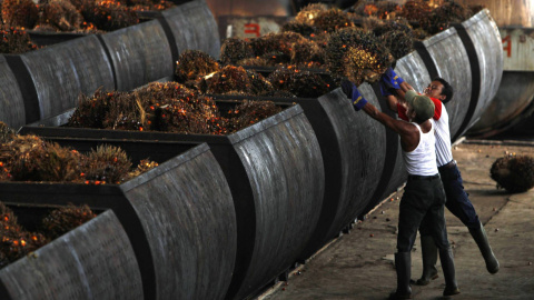 Trabajadores en una planta de aceite de palma en Malingping, Indonesia. REUTERS Trabajadores en una planta de aceite de palma en Malingping, Indonesia. REUTERS