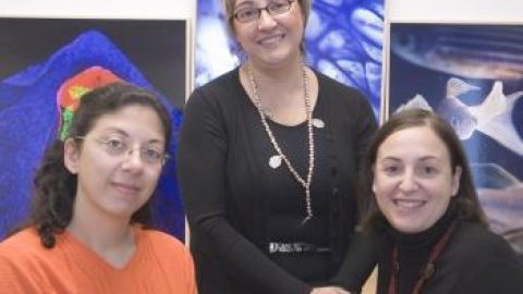 54a15a4f5e78c.jpg 54a15a4f5e78c.jpg