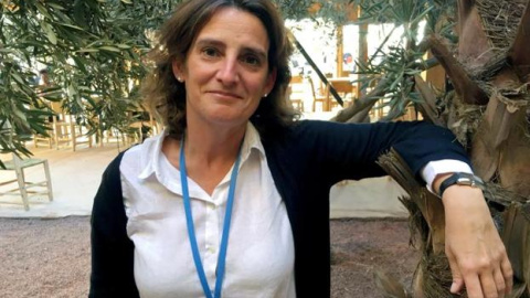 La nueva ministra de Medio Ambiente, Energía, Agua y Cambio Climático, Teresa Ribera, en una foto de archivo. EFE La nueva ministra de Medio Ambiente, Energía, Agua y Cambio Climático, Teresa Ribera, en una foto de archivo. EFE