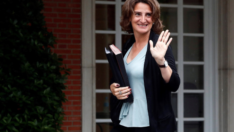Teresa Ribera, a su llegada al primer Consejo del nuevo Gobierno. EFE/Chema Moya Teresa Ribera, a su llegada al primer Consejo del nuevo Gobierno. EFE/Chema Moya