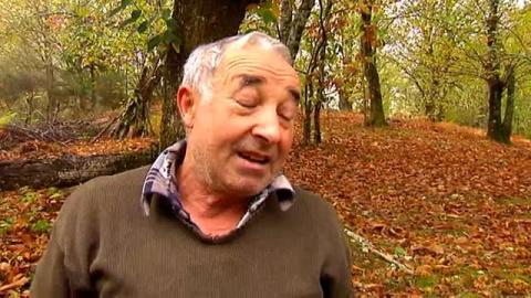 Galicia celebra su tradicional magosto Galicia celebra su tradicional magosto