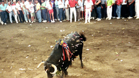 548cbcc4d6cfc.jpg 548cbcc4d6cfc.jpg