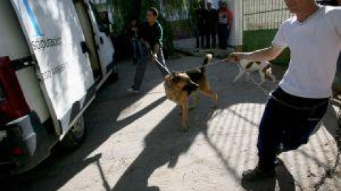 54a15b7aedc15.jpg 54a15b7aedc15.jpg