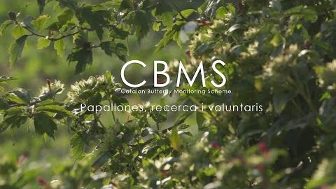 0-9L47c8v20 0-9L47c8v20