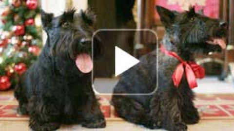 54a222bf52f17.jpg 54a222bf52f17.jpg