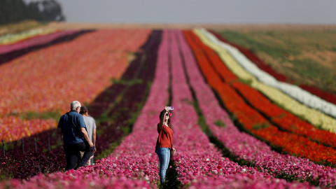 Una mujer israelí hace un 'selfie' en un campo cerca de Kibbutz Nir Itzjak, en el sur de Israel, a las afueras de la Franja de Gaza. REUTERS/Amir Cohen