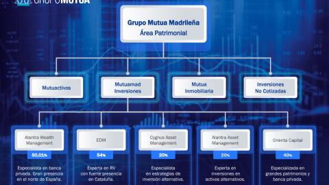 Organigrama del área patrimonial del Grupo Mutua Madrileña.