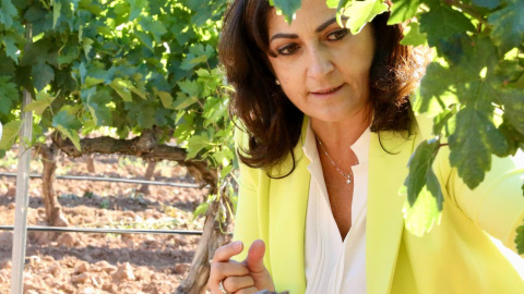 La presidenta riojana Concha Andreu. La presidenta riojana Concha Andreu.