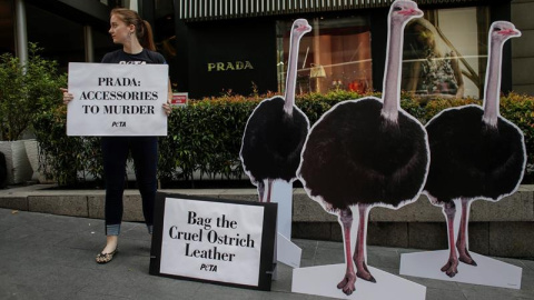 Siluetas de avestruces frente a una tienda de Prada  durante una protesta de la organización Personas a favor del Trato Ético a los Animales (PETA, en inglés) en Kuala Lumpur, Malasia denunciando el uso de piel de avestruces para hacer bols