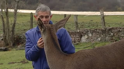 La bonita historia de amor de Aladino y Bambi La bonita historia de amor de Aladino y Bambi