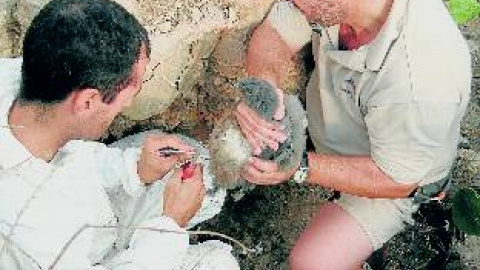 548cefd0c0dcd.jpg 548cefd0c0dcd.jpg