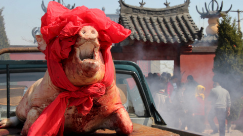 Un cerdo es sacrificado y expuesto en el exterior de un templo durante una celebración tradicional de los pescadores de Rongcheng en la provincia de Shandong, China. REUTERS/Stringe