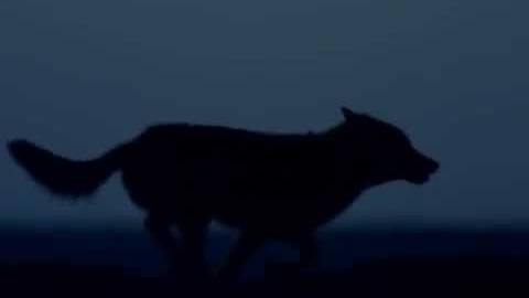 EPJUpDWvMIA EPJUpDWvMIA