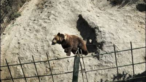 548cf0744e93f.jpg 548cf0744e93f.jpg