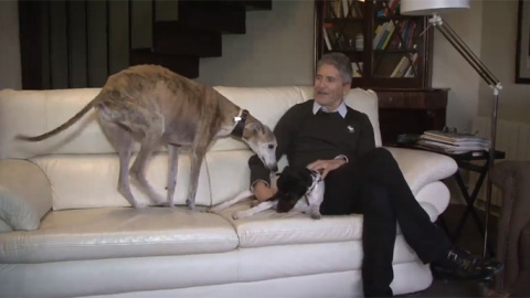 El juez de la Audiencia Nacional y actual ministro de Interior, Fernando Grande-Marlaska, con sus perros. El juez de la Audiencia Nacional y actual ministro de Interior, Fernando Grande-Marlaska, con sus perros.