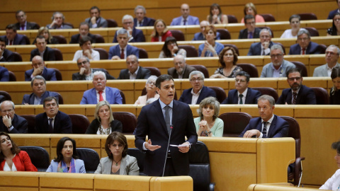 El presidente del Gobierno Pedro Sánchez, durante su intervención en la sesión del pleno del Senado, en Madrid. EFE/Juan Carlos Hidalgo El presidente del Gobierno Pedro Sánchez, durante su intervención en la sesión del pleno del Senado, en Madrid. EFE/Juan Carlos Hidalgo