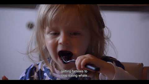 7.- The island and the whale (2016)