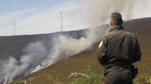 Incendio forestal en el municipio lucense de Palas de Rei, a 17 de abril de 2022. Incendio forestal en el municipio lucense de Palas de Rei, a 17 de abril de 2022.