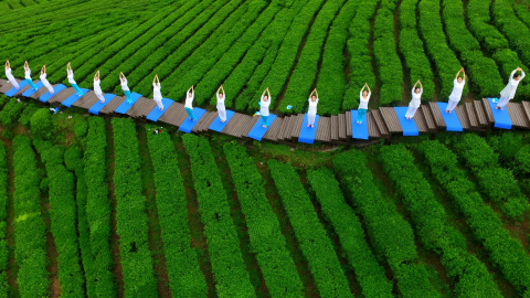 Varias personas practican yoga en un parque de té en Enshi, China.  REUTERS/Stringer