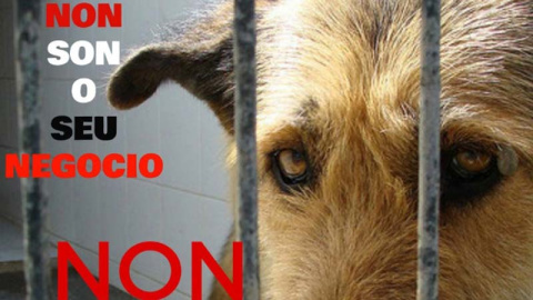 Parte del cartel contra la ley gallega de bienestar animal. Parte del cartel contra la ley gallega de bienestar animal.