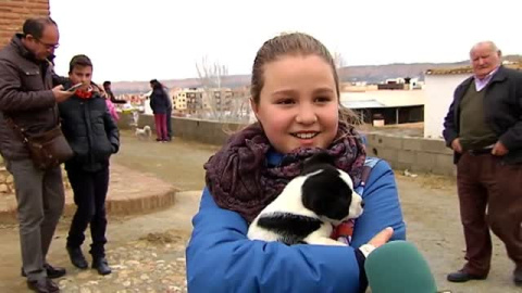 San Antón bendice a perros, conejos y caballos en la ermita de Guadix San Antón bendice a perros, conejos y caballos en la ermita de Guadix