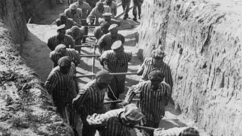 Prisioneros españoles Mauthausen Prisioneros españoles Mauthausen