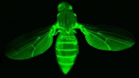 54a1fd8edf0fa.jpg 54a1fd8edf0fa.jpg