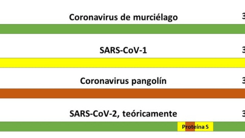 Teoría del origen del SARS-CoV-2 como virus quimérico.